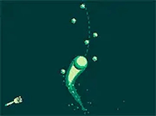Curve Quest Online Arcade Game - Reflex Game