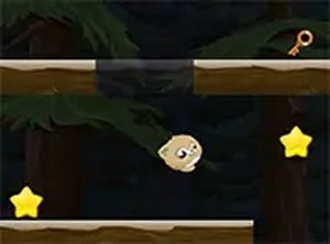 Rolling Cat Online Game - Fun Puzzle Adventure