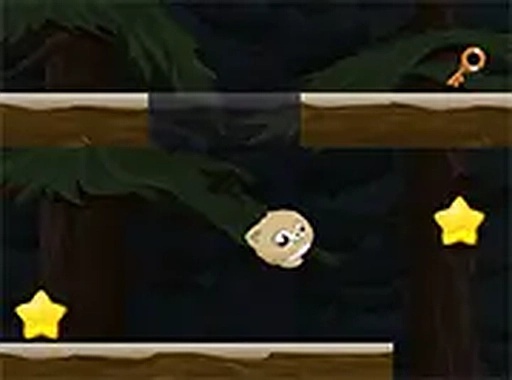 Rolling Cat Online Game - Fun Puzzle Adventure Arcade Game
